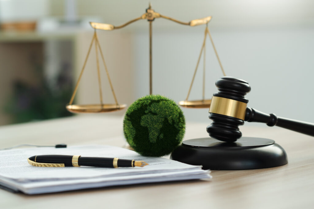 Asesoramiento y asistencia jurídica internacional