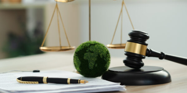 Asesoramiento y asistencia jurídica internacional