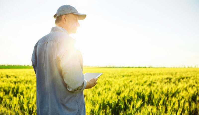 Oportunidad para el sector agroalimentario: La simplificación administrativa de la UE