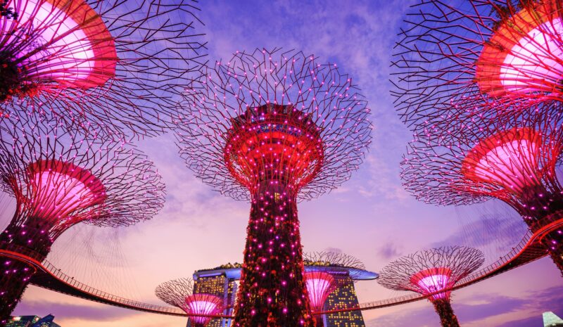 Acuerdo Comercial Digital entre la UE y Singapur