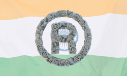 Marca Internacional: Destino India