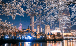 Oportunidades de Negocio en Corea del Sur
